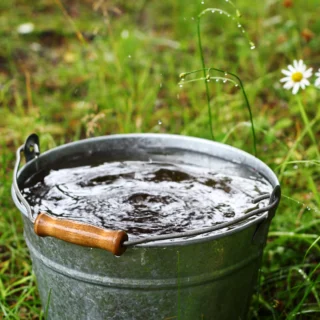 Pail Bucket